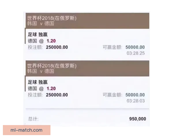 世界杯竞猜投注平台全面上线 提供精准赔率与实时数据分析