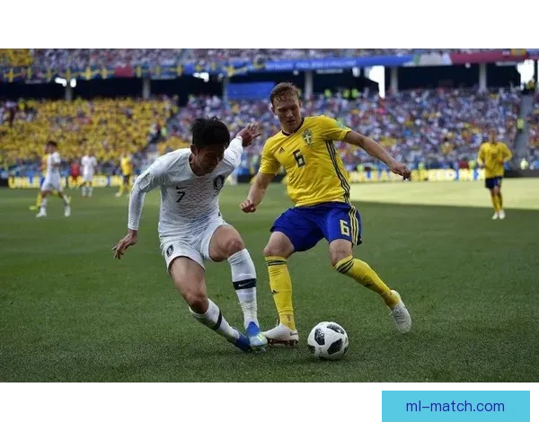 世界杯投注指南揭秘最全投注策略助你精准预测赛事结果